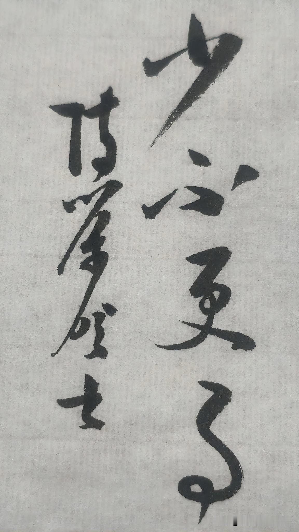 草书精品展示：少不更事