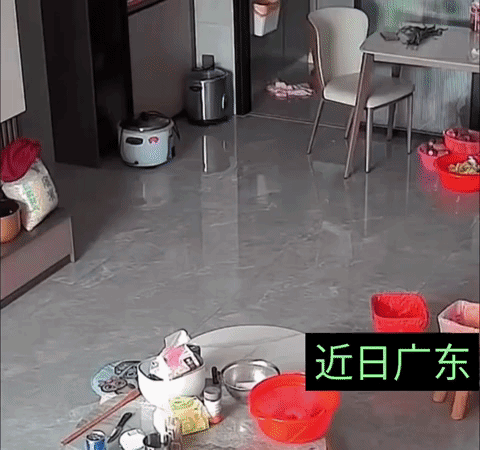 太吓人了，又是高压锅，近日广东一女子在厨房做饭，突然高压锅发生了爆炸，女子吓得从