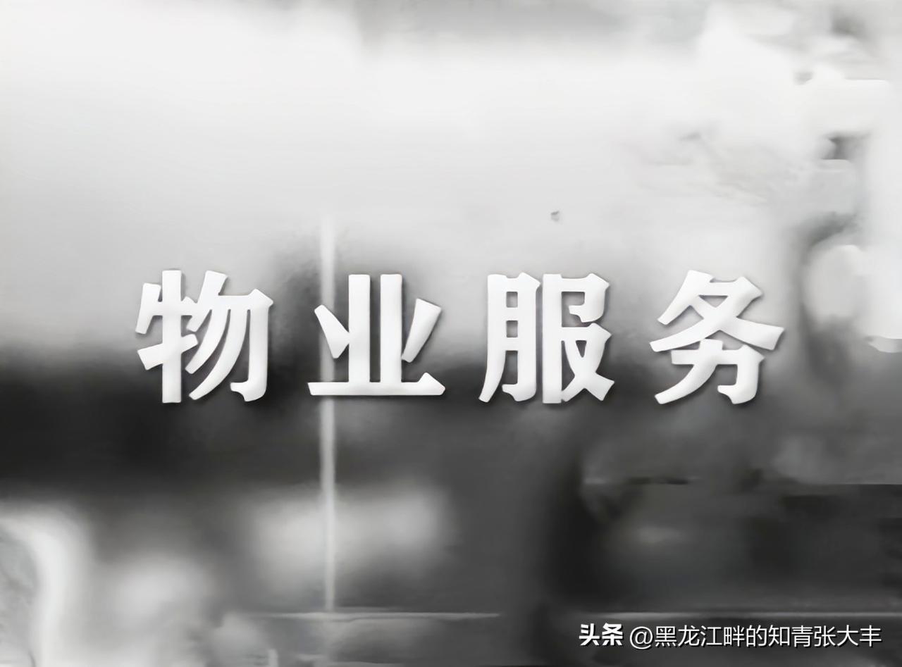 建议在各行各业劳动者的工资中，设立物业补助，或者物业津贴一项。

这一项目的设立
