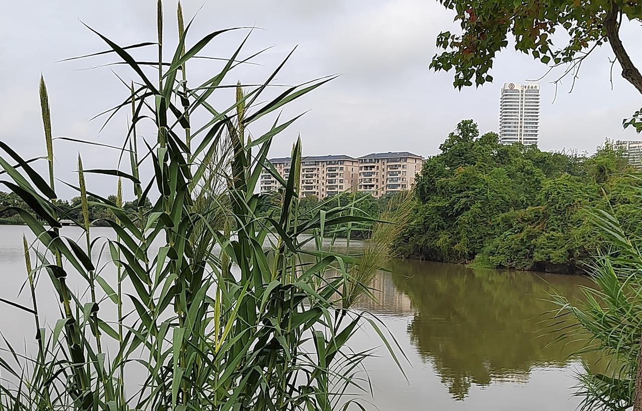 台湾是不是中国固有领土？不是美国说了算，也不是台湾 2300 民意说了算，而是中