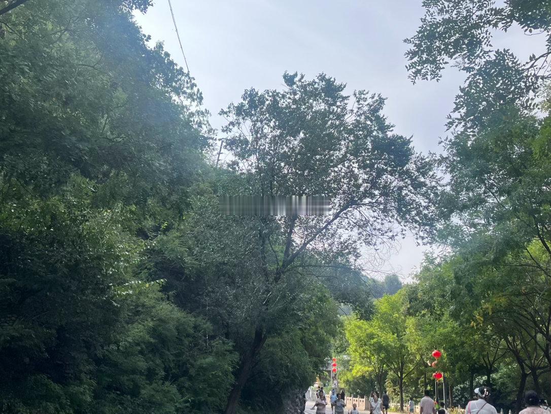 出来亲近一下大自然一扭头发现我在拍风景～🐺在旁边拍我嘿嘿狼兔恋爱碎碎念