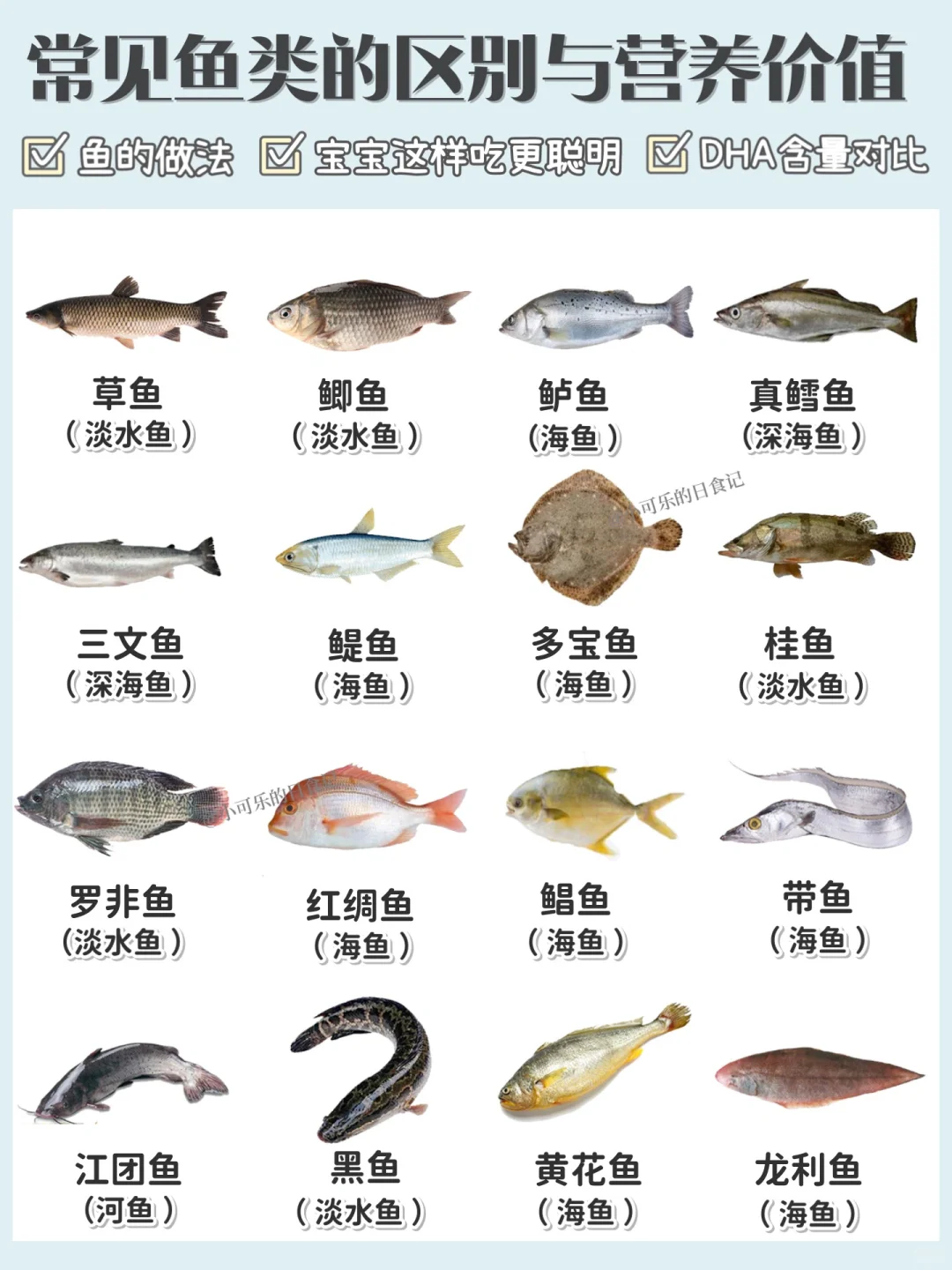 【鱼类说明书】✅常见鱼的区别营养价值和做法