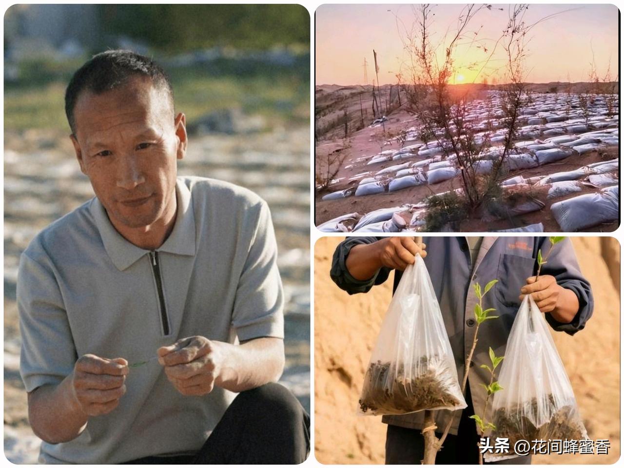 山西农民钻研32年，
塑料袋改良治沙新法 多国上门取经
 
在治沙行业，滴灌、草