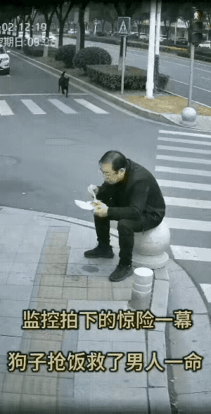 这位老兄上辈子修了多大的福分，竟能靠着狗狗抢他食物这一下，让他逃过一场大祸？所以