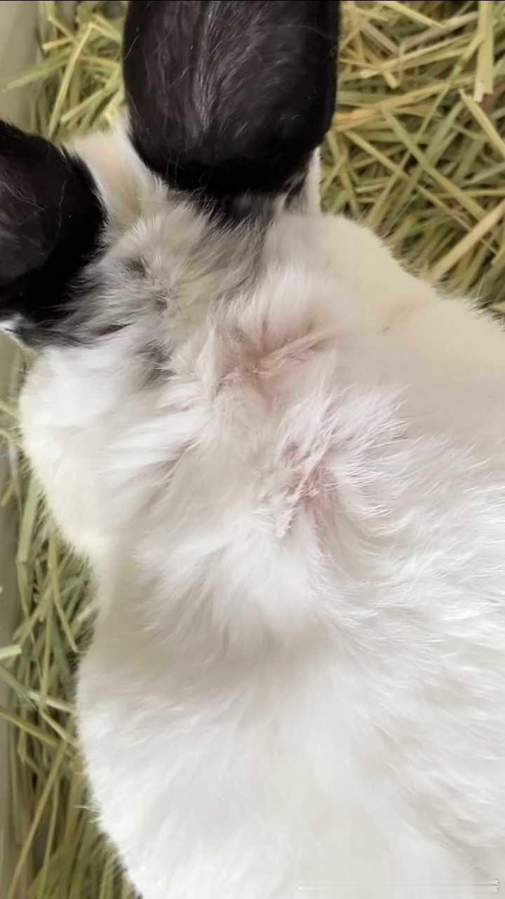 14365🐇【谁想】吸此后脑勺 