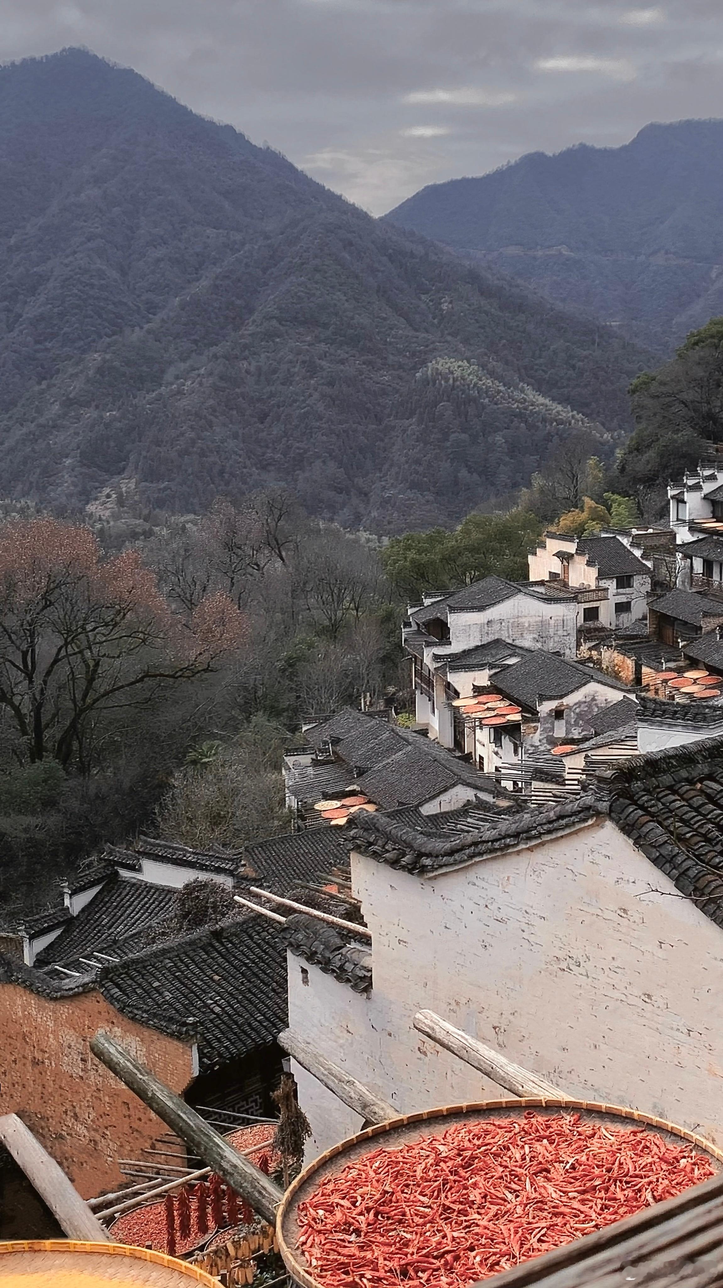山中何所有 岭上多白云 ​​​