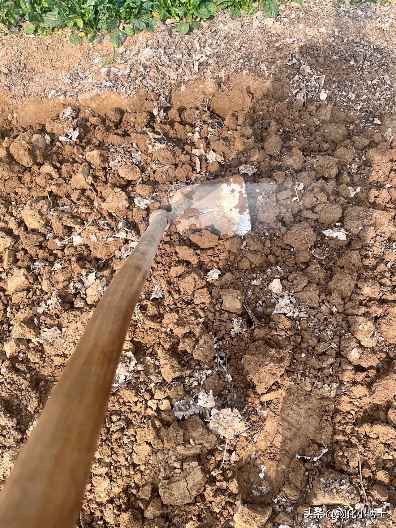 什么是双标？
举几个最简单的例子：
同样是刨地，要是一位富豪在刨地，路过的人都会