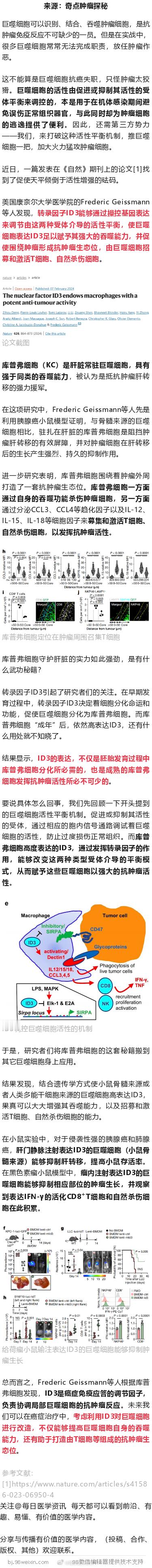 《自然》：科学家发现让巨噬细胞“暴饮暴食”“一呼百应”的抗癌新策略！ ​​​