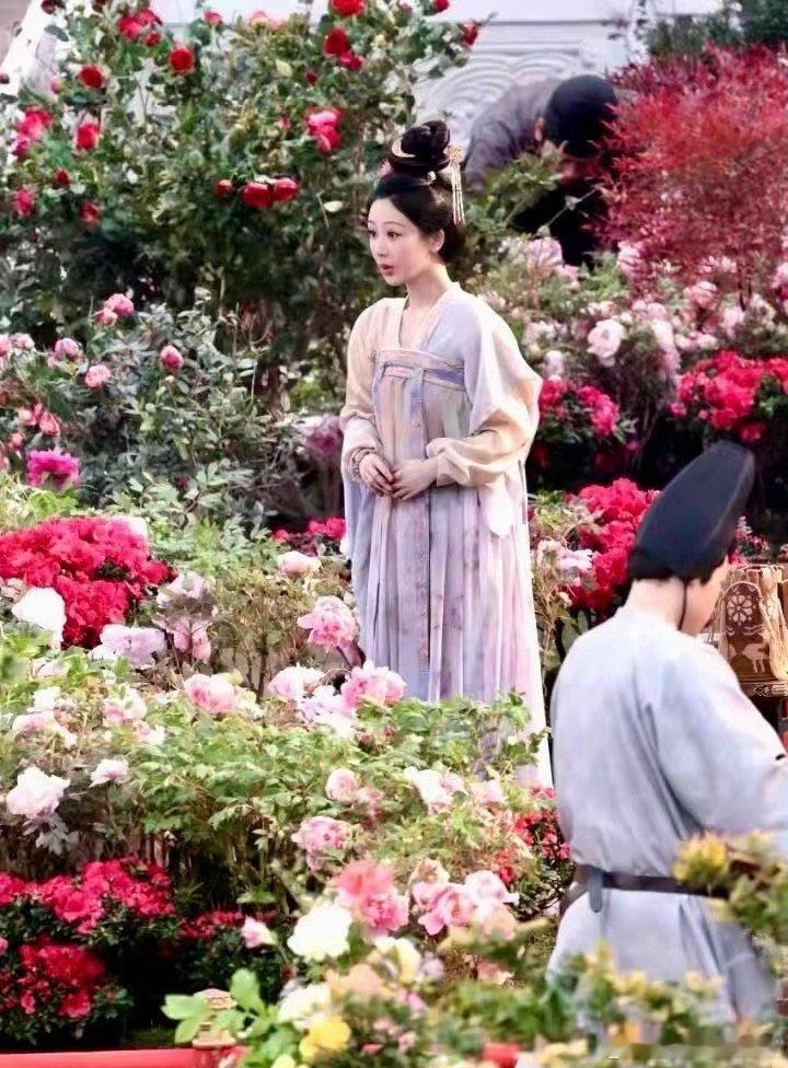 杨紫的国色芳华造型感觉还挺美的 ​​​