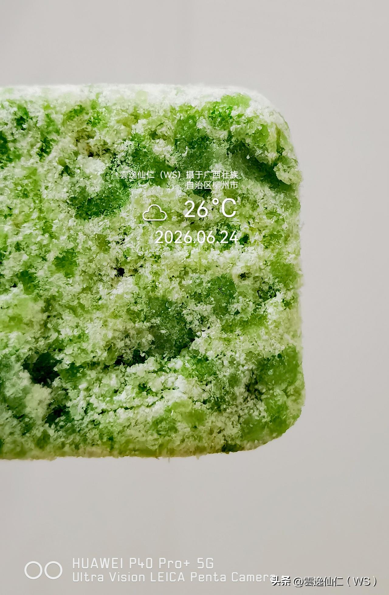月居生活记录（9980）广西壮族自治区柳州市（17）品尝小吃6：全麦苦瓜糕（7.