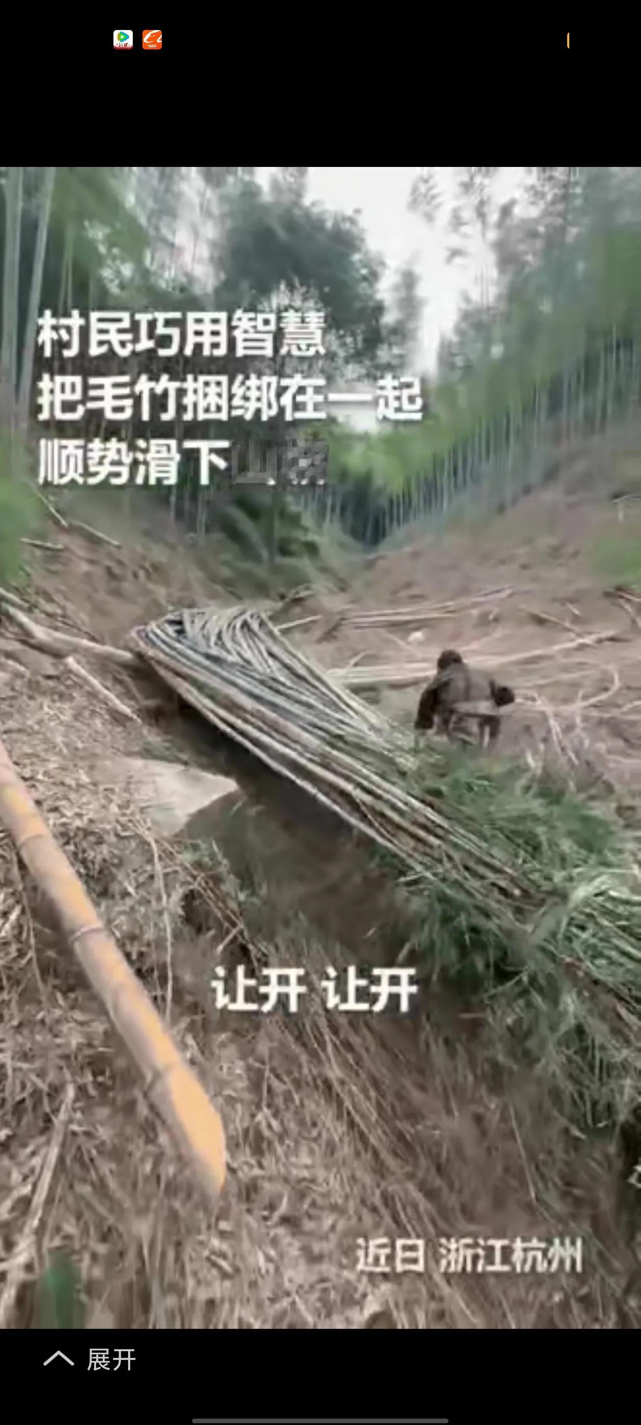“这下可彻底解释不清咯！”浙江杭州这事儿，真让人啧啧称奇。男子跟父亲上山砍竹子，