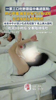 一家子都是人才！四川遂宁，一家三口吃野蘑菇担心中毒，特意提前让狗试吃，见它没啥反