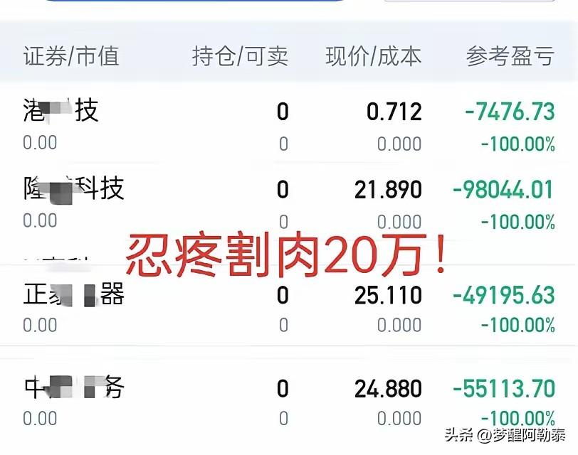 亏20万忍痛割肉垃圾小票，终于醒悟切换芯片主线
 
今天看完朋友的持仓记录，真心