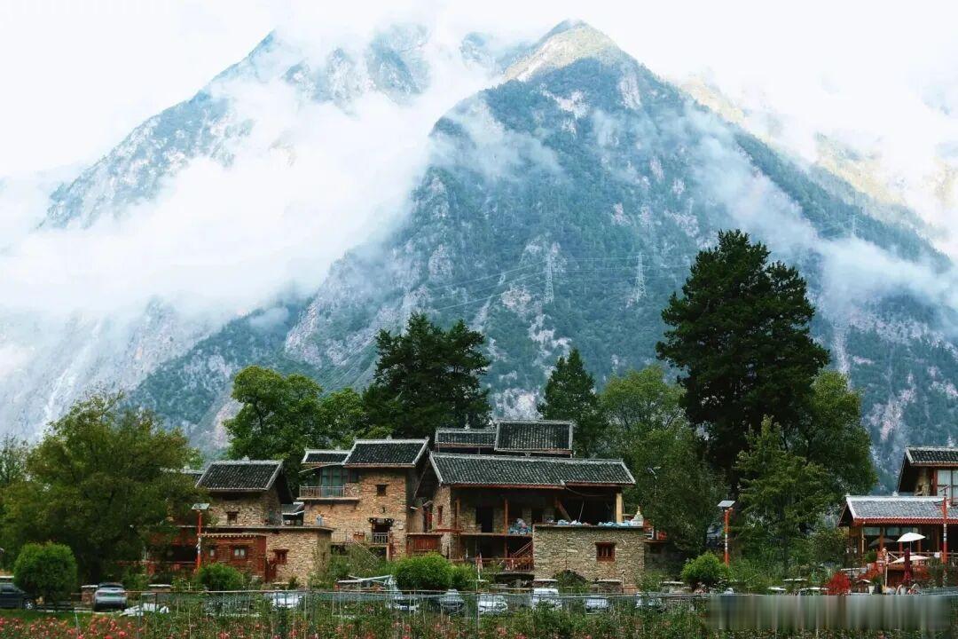 六月必去川西小众秘境✨ 康定色龙村被高山玫瑰包围，花海、雪山、藏寨同框，风景美到