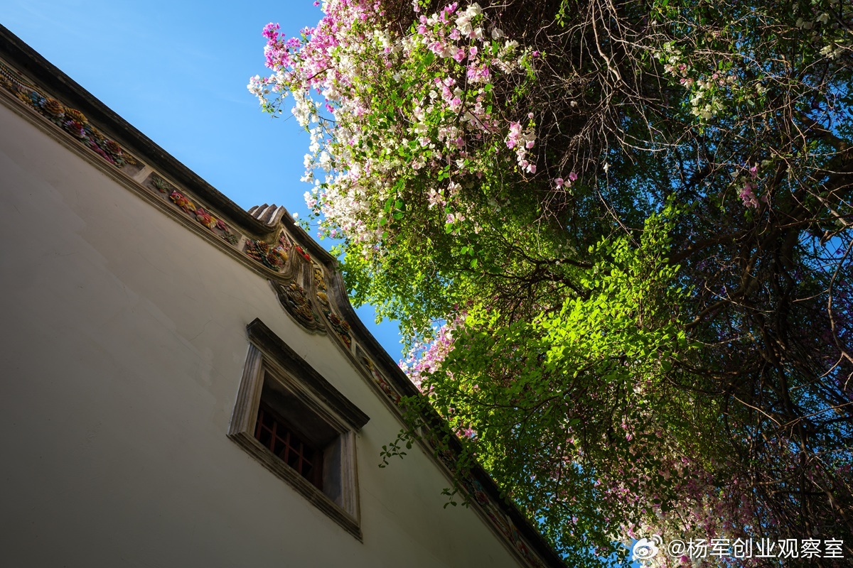 为什么你看到的新能源，不是真正的新能源？当所有人都在谈论环保与补贴时，一场关于国