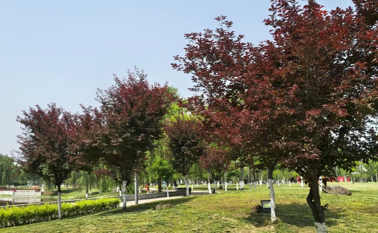 分享一张外出拍的最美的照片