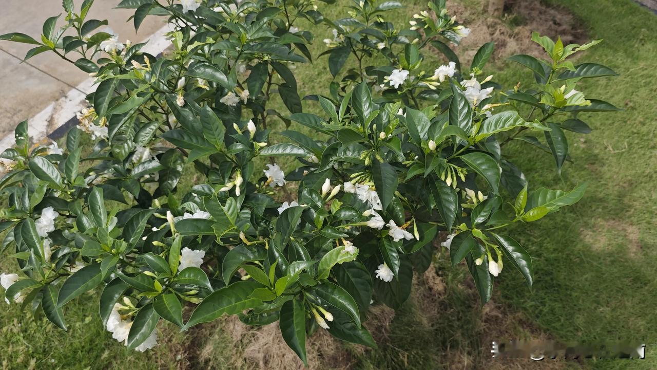 一个小时花了1000多块。
再过几天要回国，去公司总部参加培训，说实话，我很珍惜