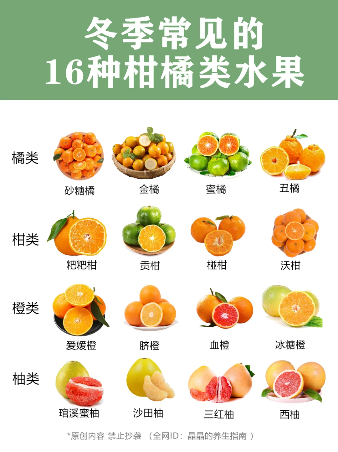 🍊冬季常见的15种柑橘类水果橘子🍊