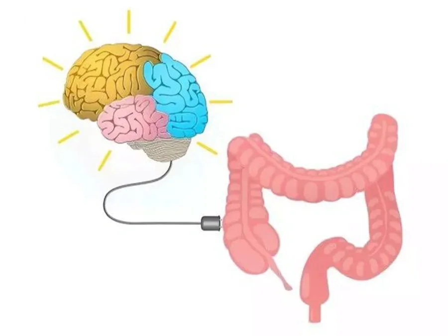 Science : 拉肚子会影响智商