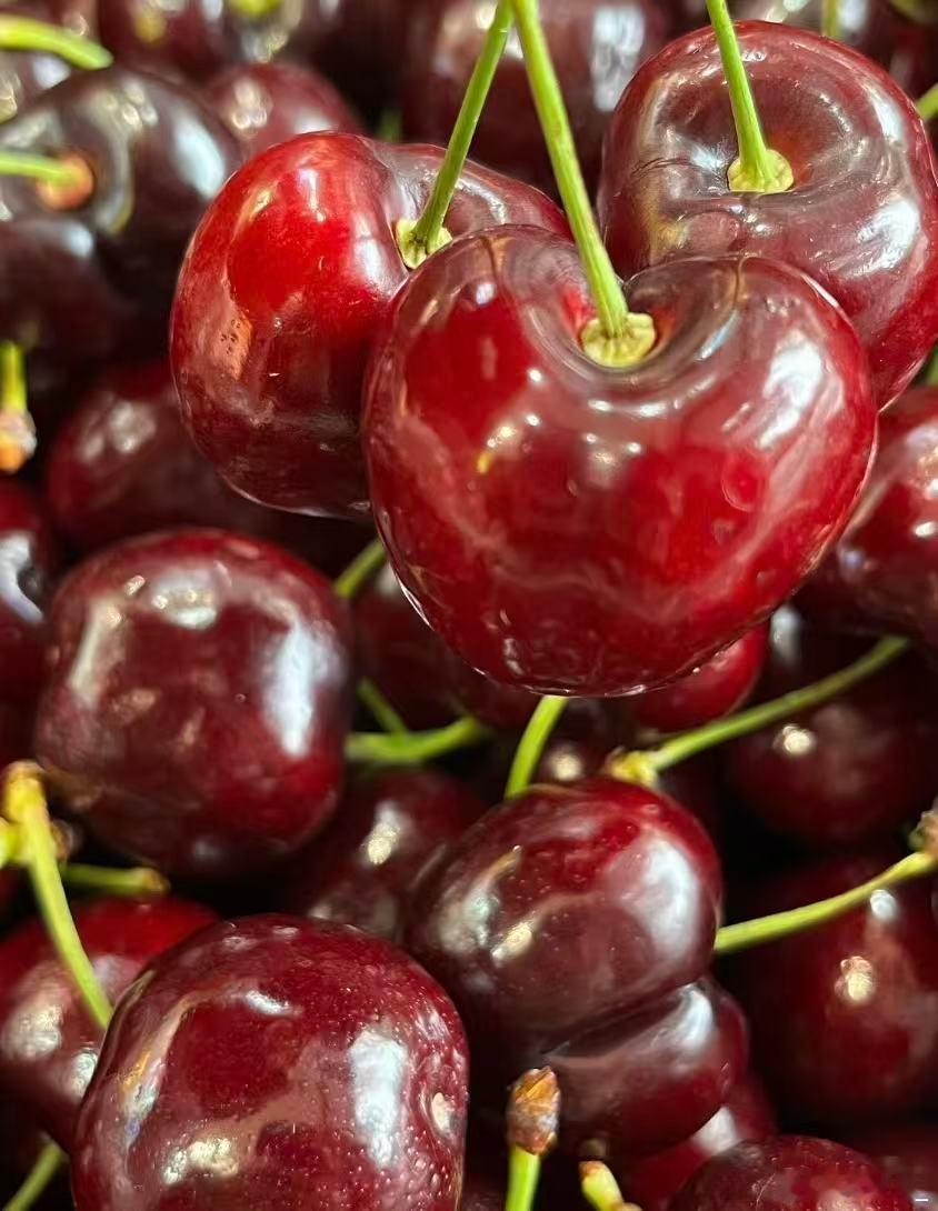 老己开年吃空15000多棵车厘子树新年第一份甜必须留给自己！老己们元旦的战斗力太