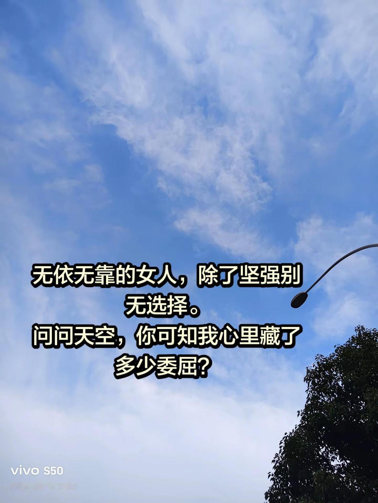 单身生活一个人，满心心事只能说给风听，抬头只有蓝天静静听我诉说。