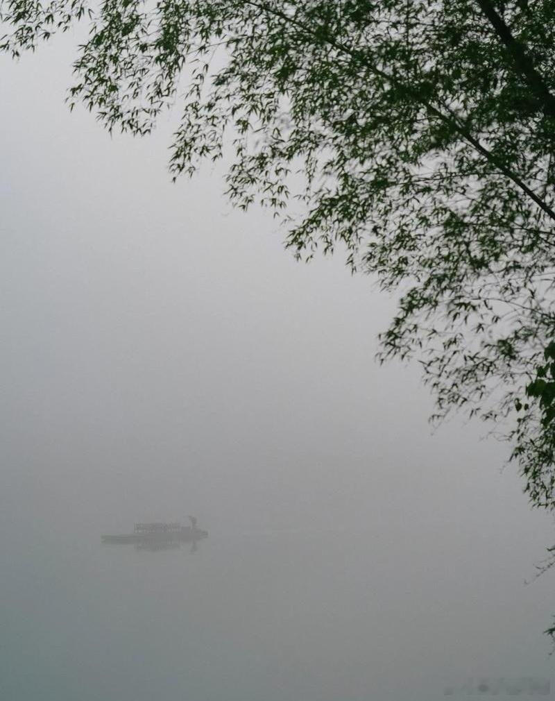 心里话        人生最大的智慧，是懂得在适当的时候说“算了”。     