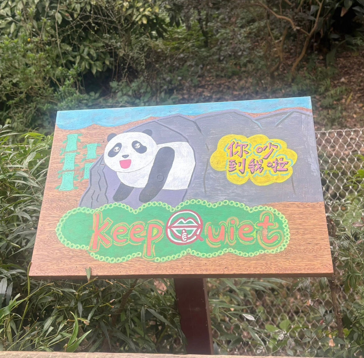 这届熊猫都有自己的小心思了漫步成都街头，每一步都踩在熊猫的萌点上！雕塑憨态可掬扒