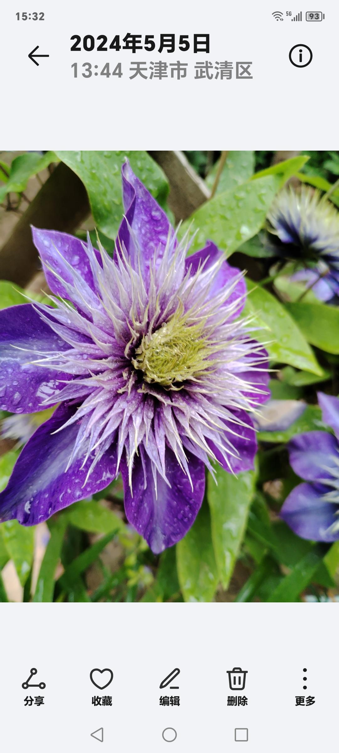 七言诗～一路风光去赏游

蝶舞花间香满楼，
蜂落花蕊吸蜜稠。
风和日丽晴方好，
