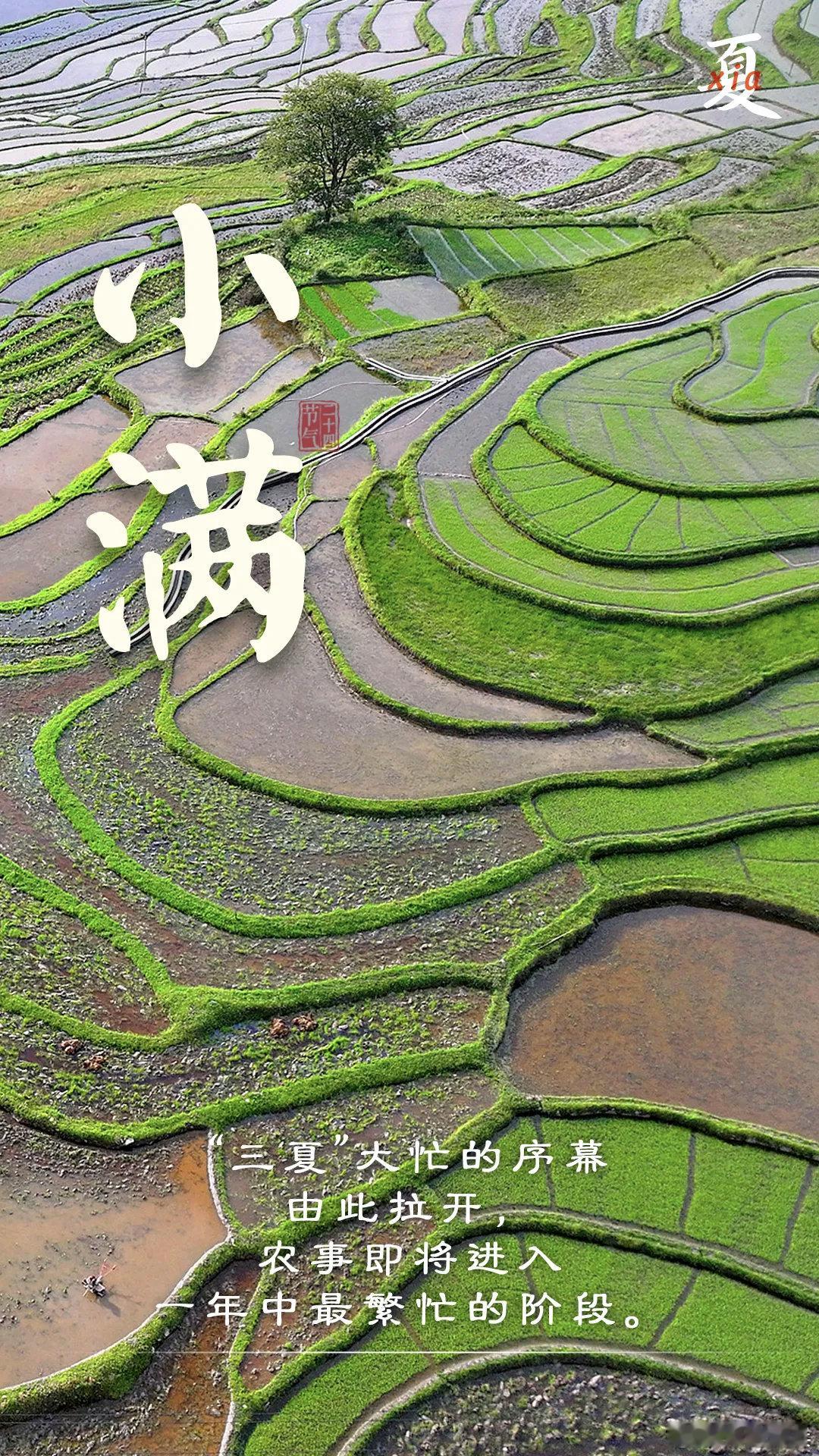 甬尚老兵的粉丝圈小满饮食原则小满胜万全！夏风初盛，绿意渐浓麦穗低垂，蛙声渐密青梅