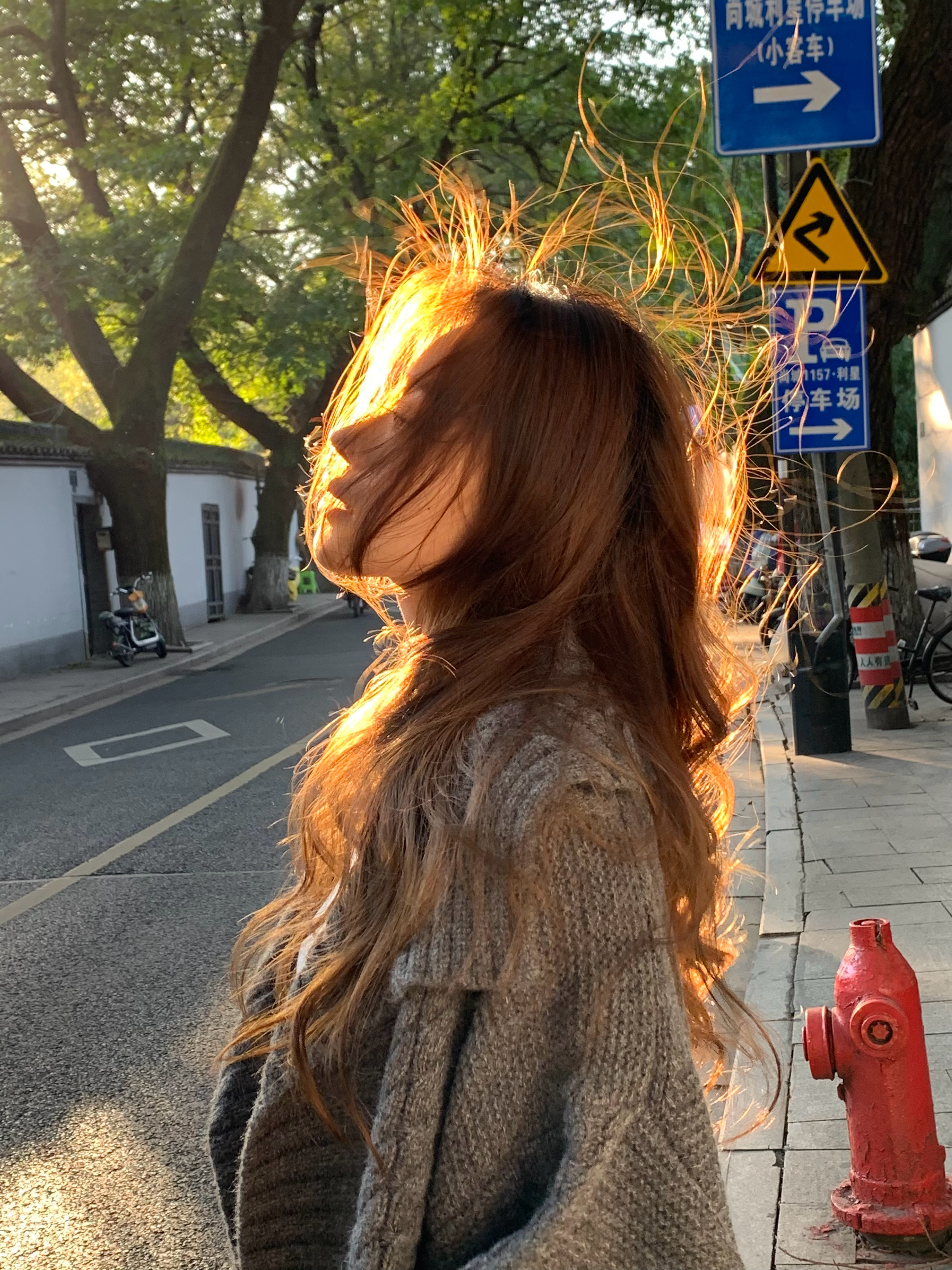 🍂 