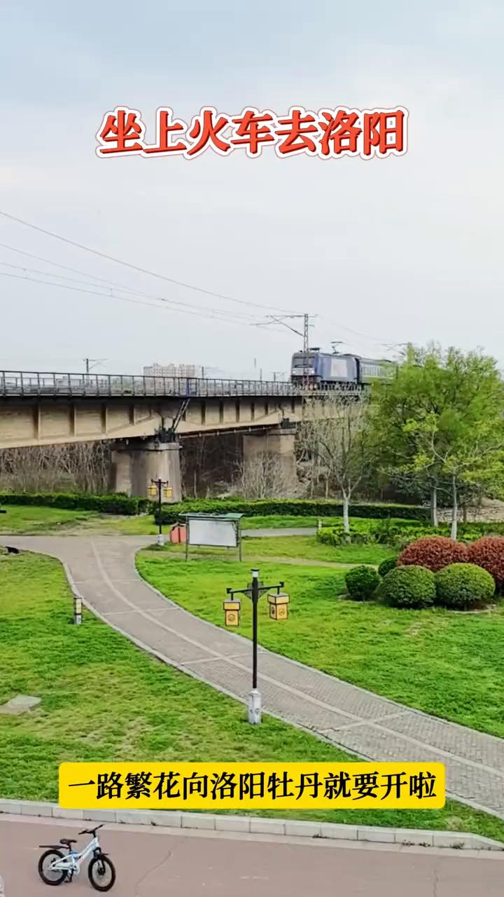 坐上火车去洛阳，一路繁花向洛阳牡丹就要开啦。