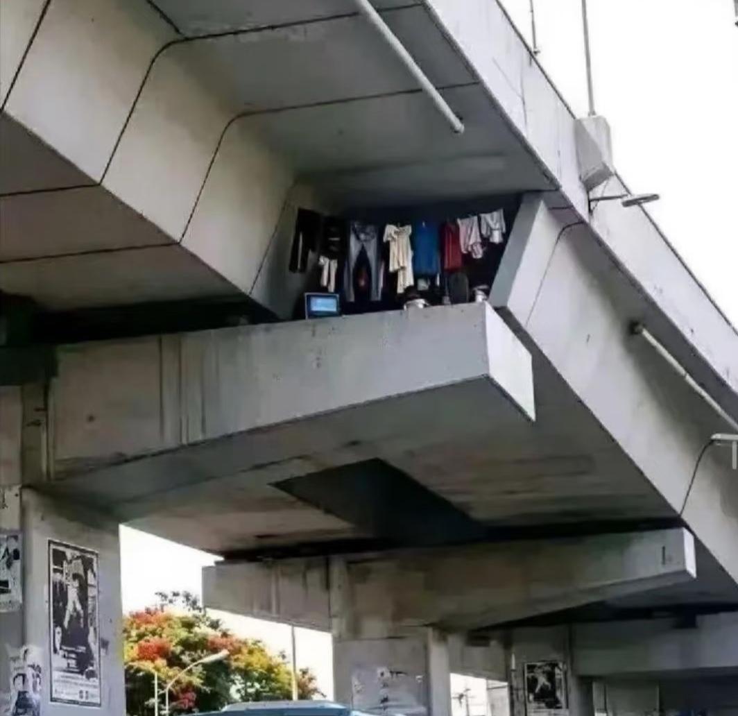 我就想知道他是怎么上去的？