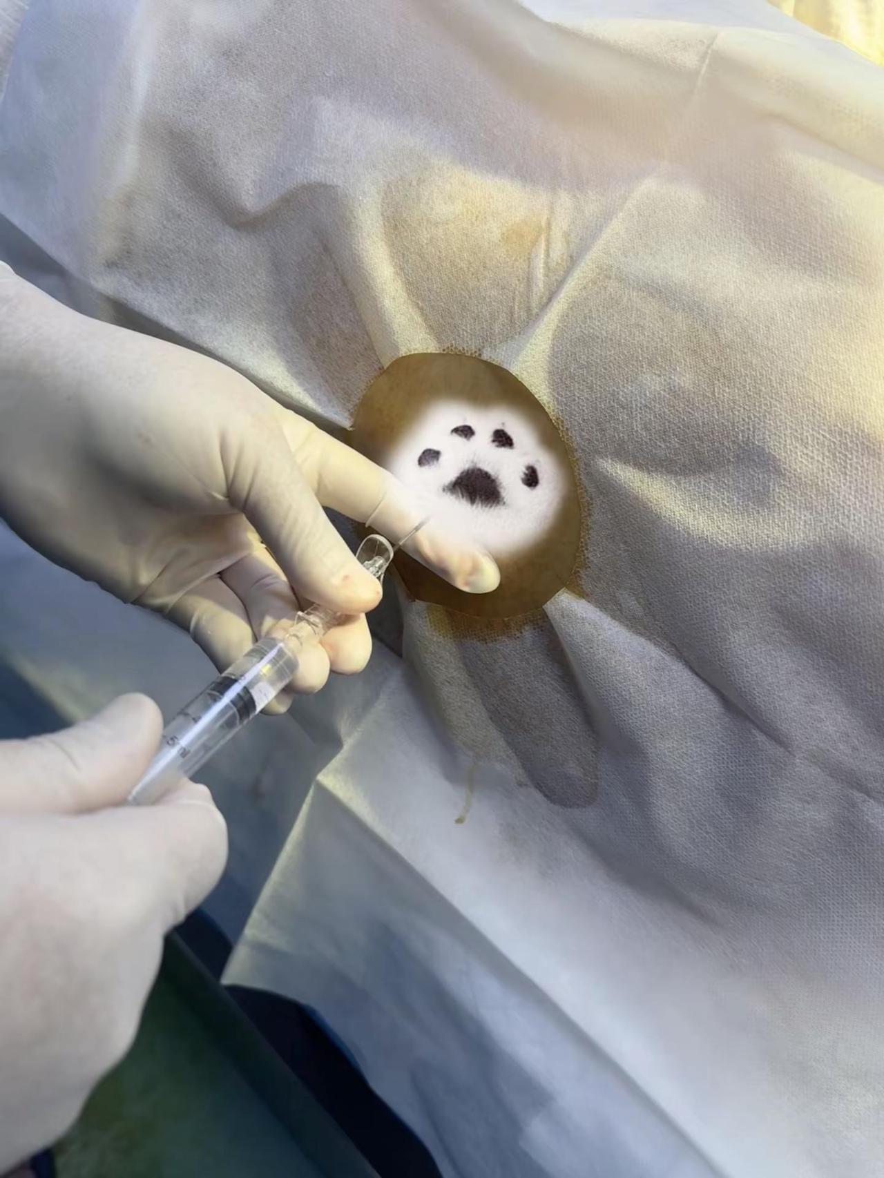 妈妈很伟大、也很勇敢👍生育 女性 无痛分娩