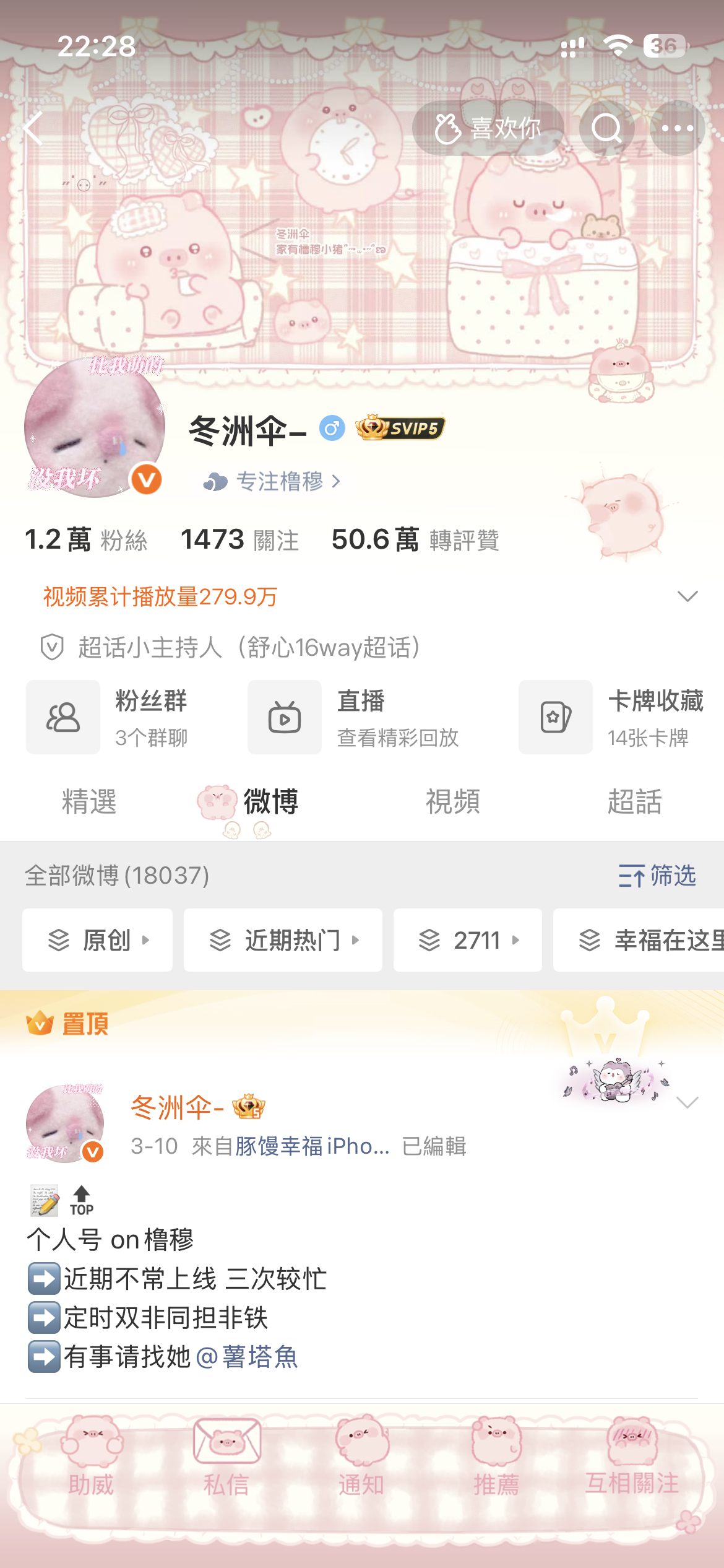 这里有两只猪呀！🐽