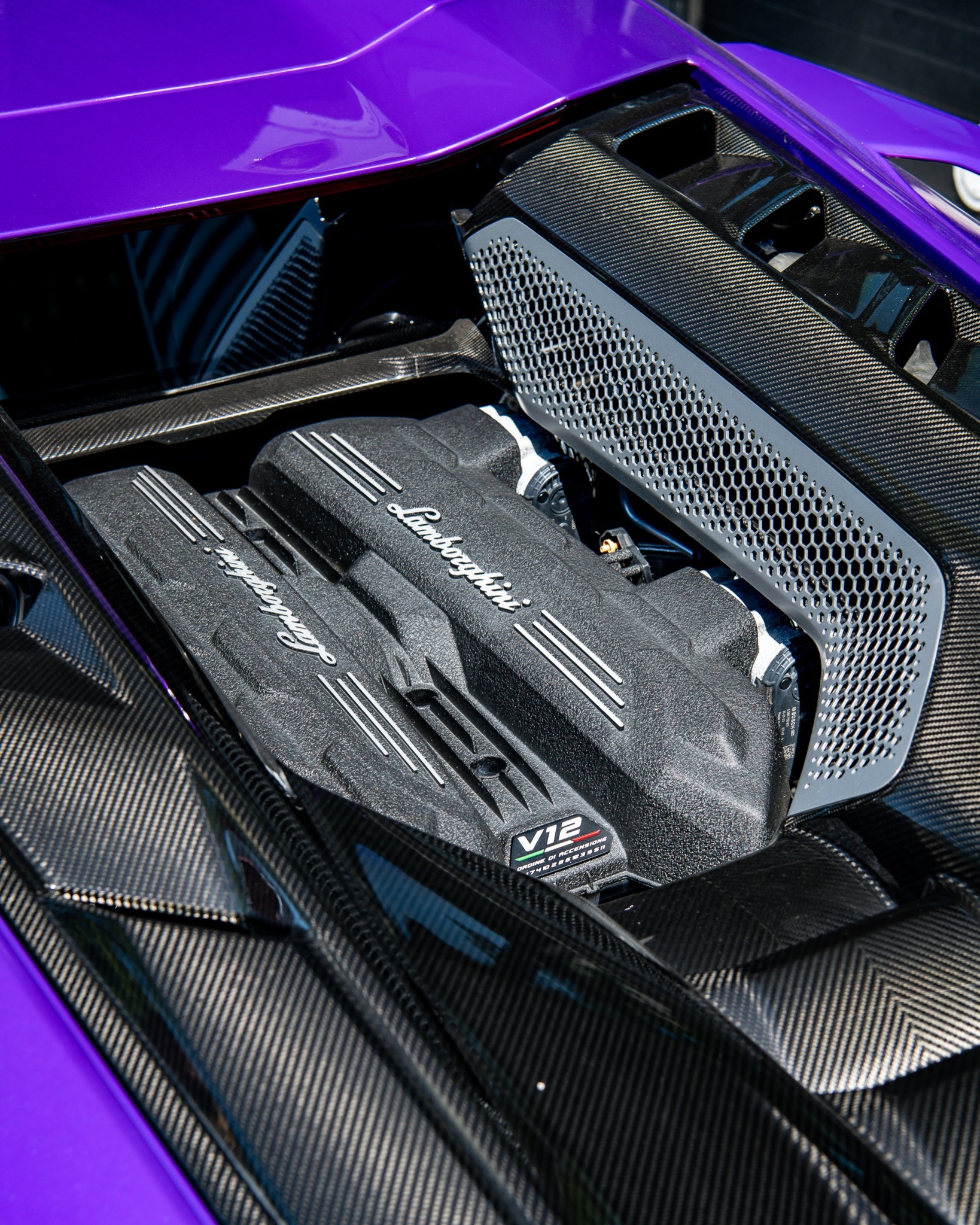 Lamborghini Revuelto油漆：Viola Parsifae 
