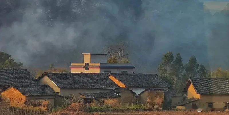家乡终于落雪了。先是细雪漫卷，沾了檐角覆了田垄，转眼就把老屋晕成一幅淡墨画。风裹