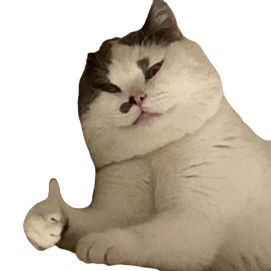 图片可以报名猫meme吗
