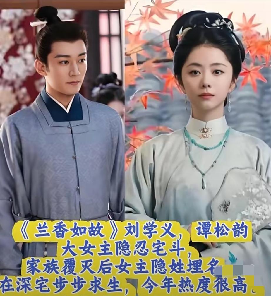 古装宅斗好剧大盘点来啦🔥
宅斗天花板还得是《知否》，细品后宅人情世故，百看不厌