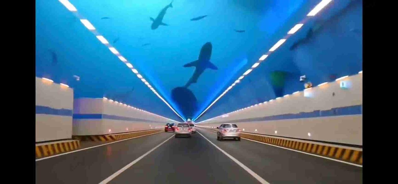 看海豚啦！
带定位晒今日生活
我的今日状态：😁轻松愉快
我这里的天气：☀️晴天