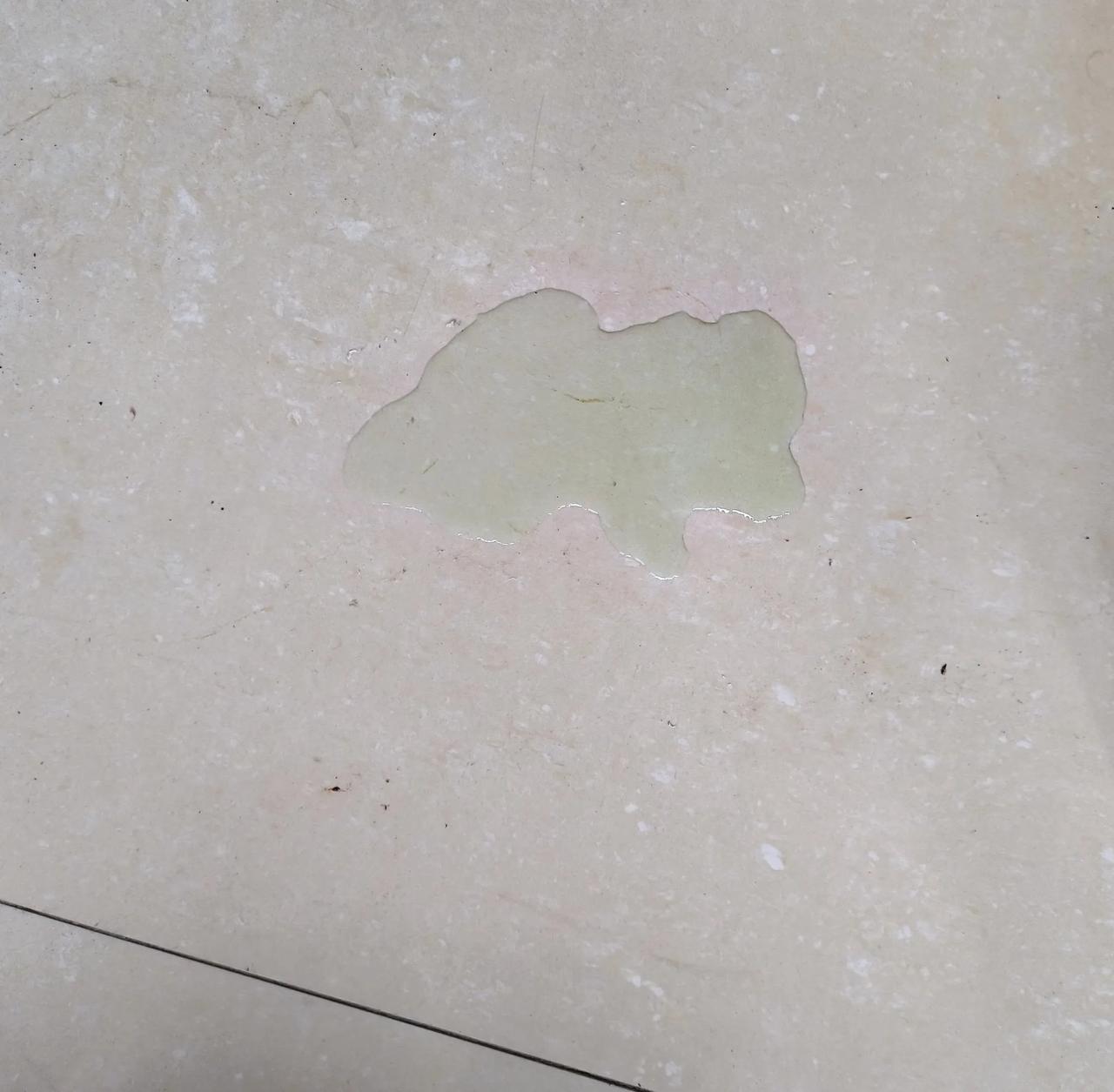 今天一大早起来，发现乌龟排出绿色的尿？咋了？这绿色的尿液，拍下来了，可以看下面的