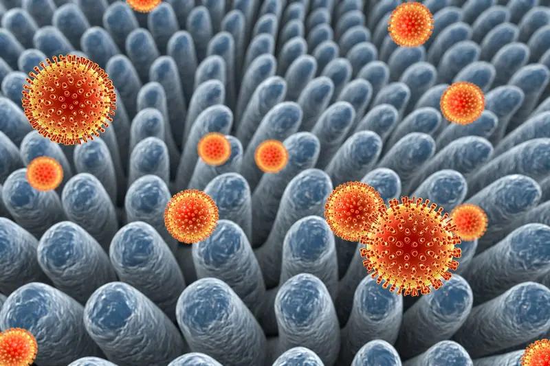 警惕“肠胃炎新毒株”：新冠奥密克戎变异株的肠道挑战
近期，“肠胃炎新毒株”引发广