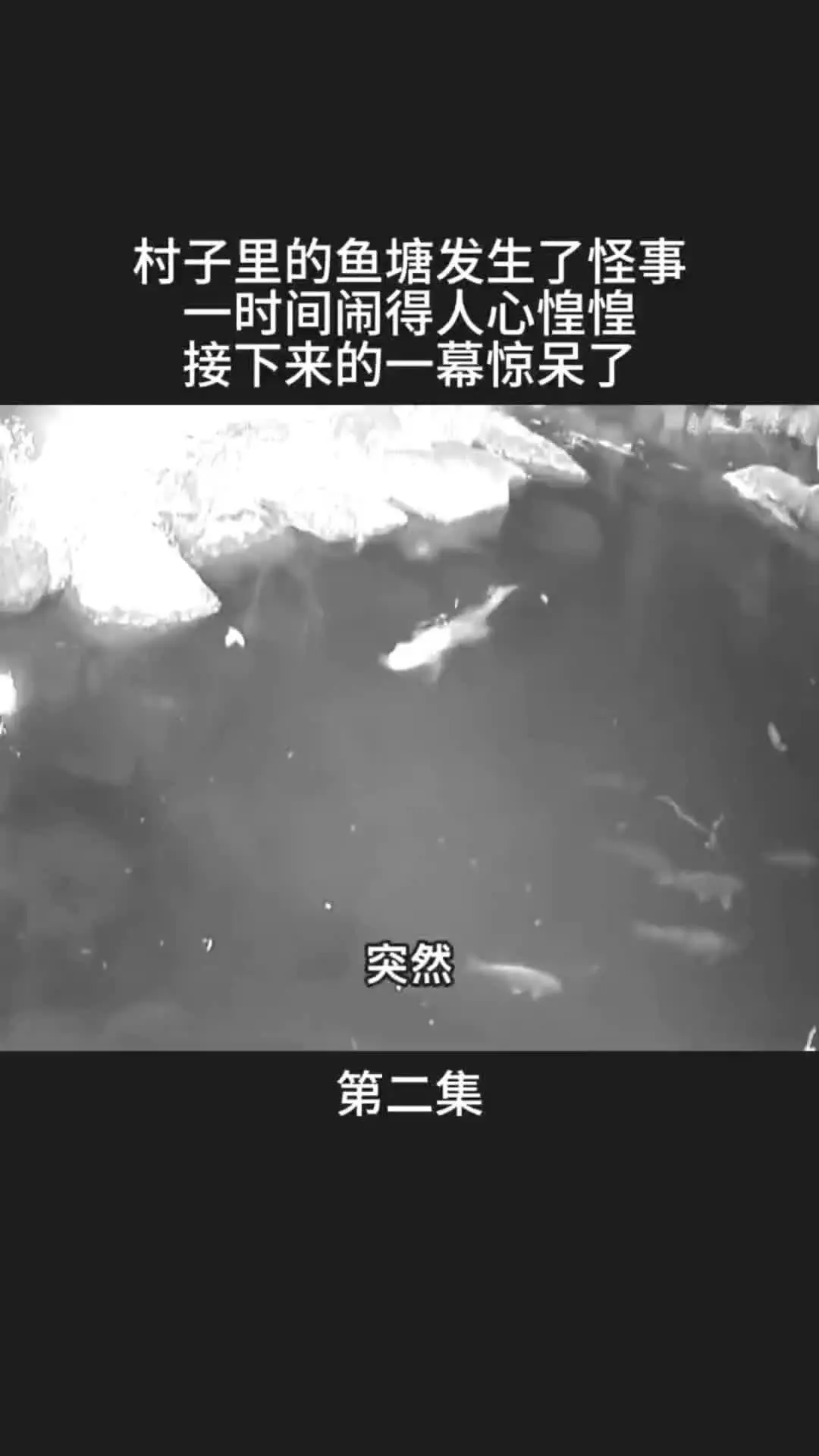 我的观影报告