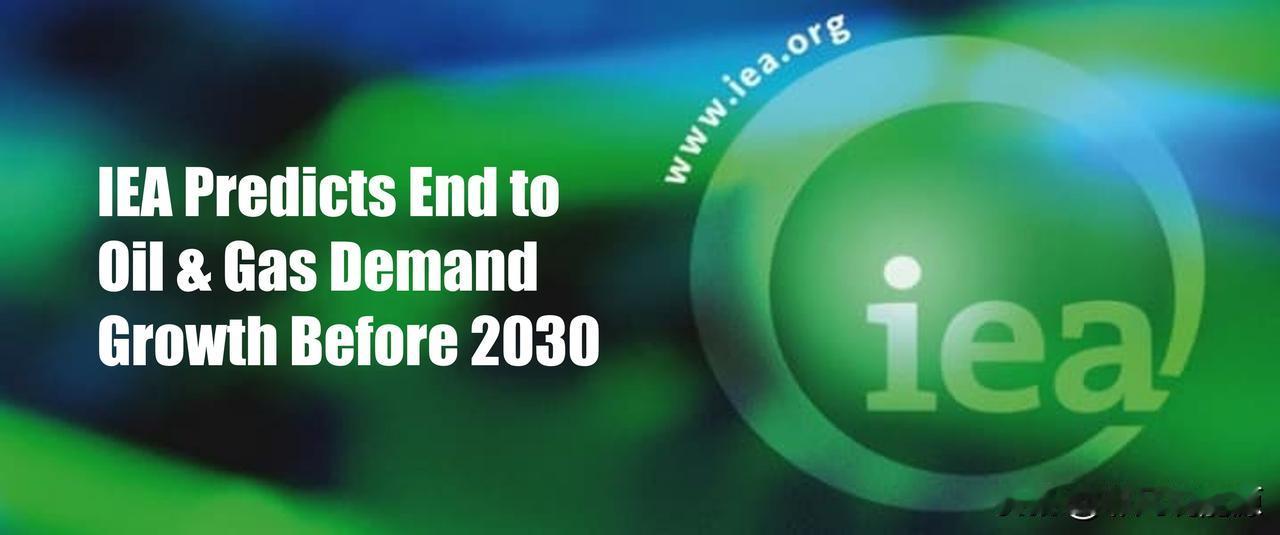 国际能源署预测2030年前油气需求将停止增长

受伊朗供应中断担忧缓解的影响，油