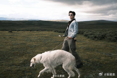 还以为王星越躺溪里 还以为王星越躺溪里，大家分享的这一趟川西旅行的照片，真的是觉