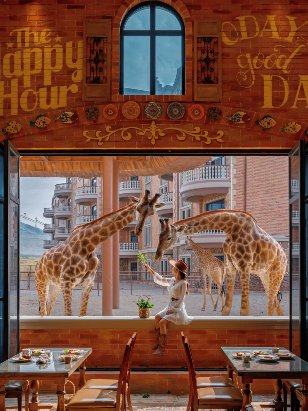 泉州不止西街，肯尼亚同款长颈鹿庄园好玩哭