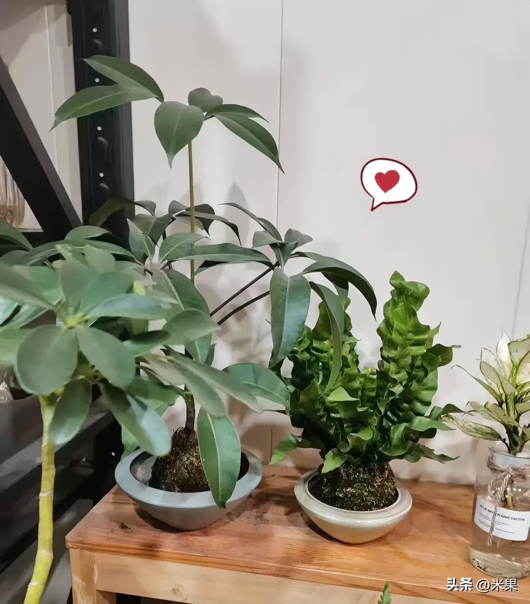 这周还挺有意思的！
每天都有点小开心，遇到了不少好玩的小事，不管是路上的小惊喜，