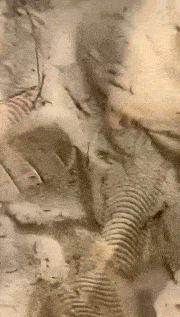 好想过这样的日子