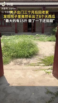 江苏徐州，一名男子外出前在院子里打了除草剂，顺便收拾了一下院子，三个月后回家一看