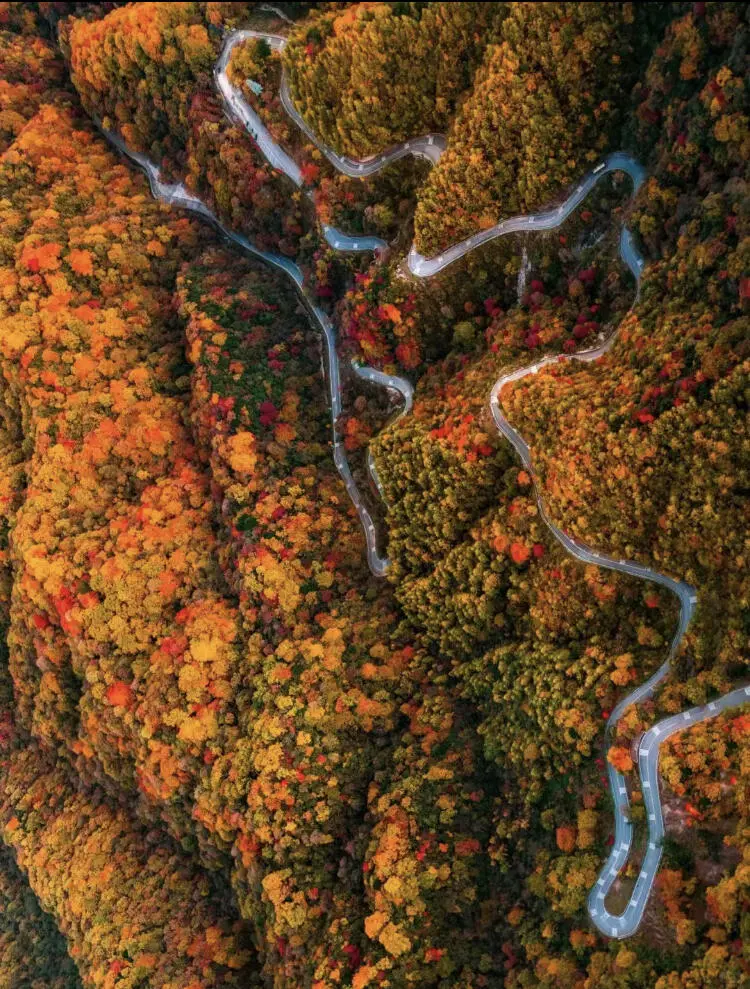 带孩子去领略秦岭的秋天🍂