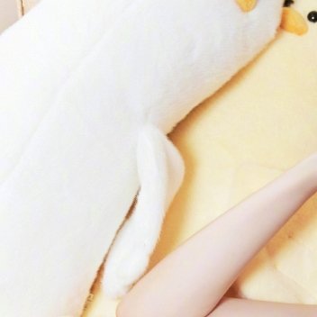 #王心凌[超话]##王心凌sugarhigh世界巡回演唱会# 大家好，新人报道…